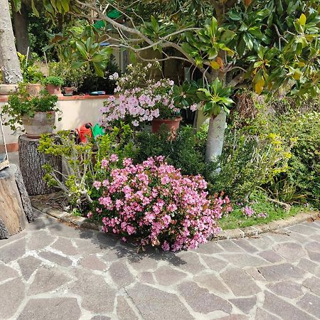 Il Diacciarello Daire Gabbro Dış mekan fotoğraf