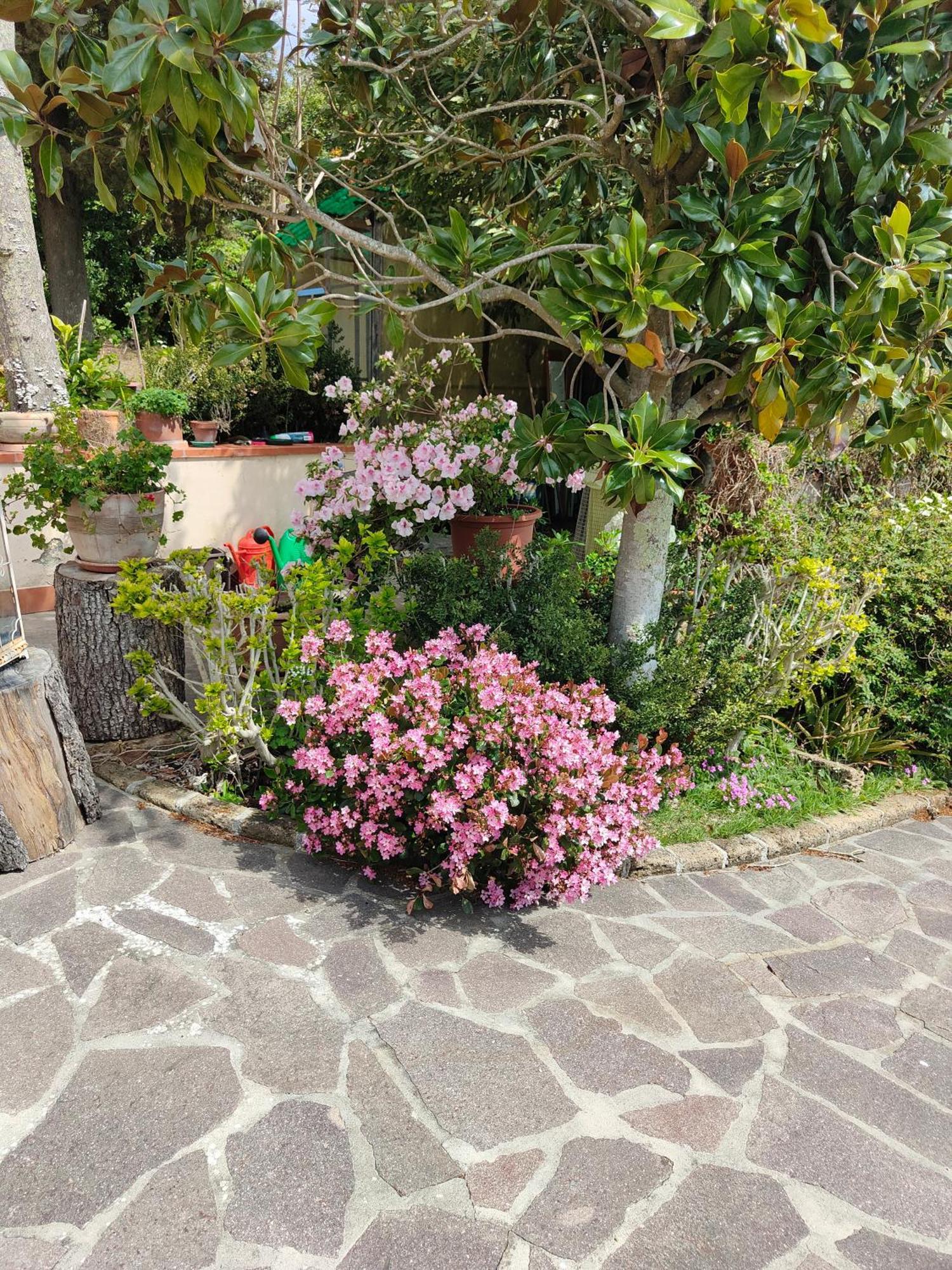 Il Diacciarello Daire Gabbro Dış mekan fotoğraf