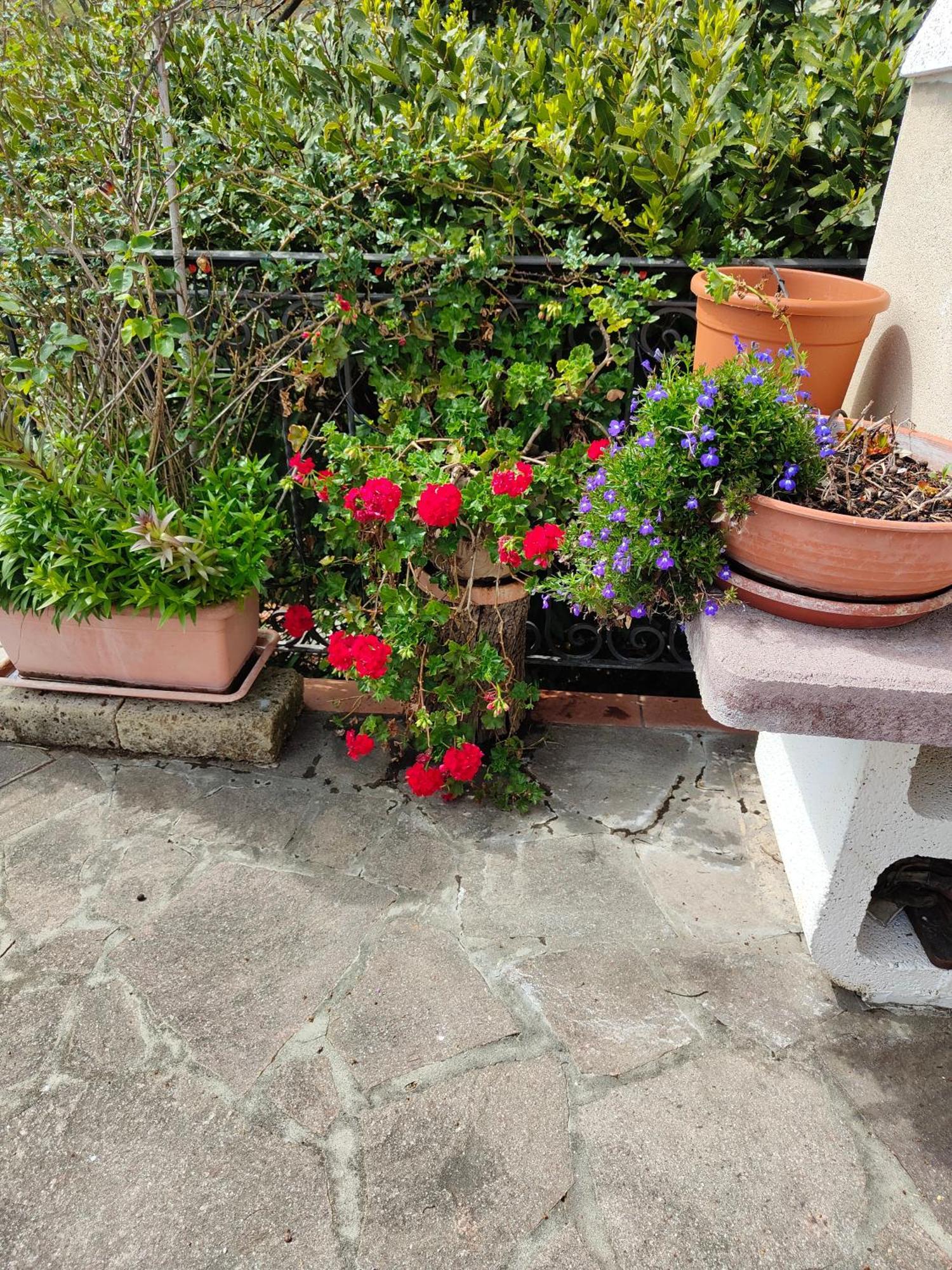 Il Diacciarello Daire Gabbro Dış mekan fotoğraf